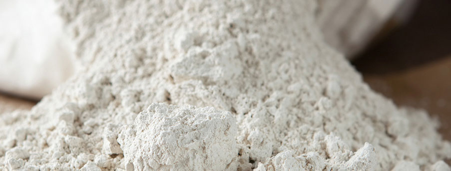 diatomaceous-earth-silica